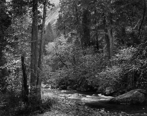 Tenaya Creek